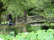 zunzuさんの定光寺の投稿写真1