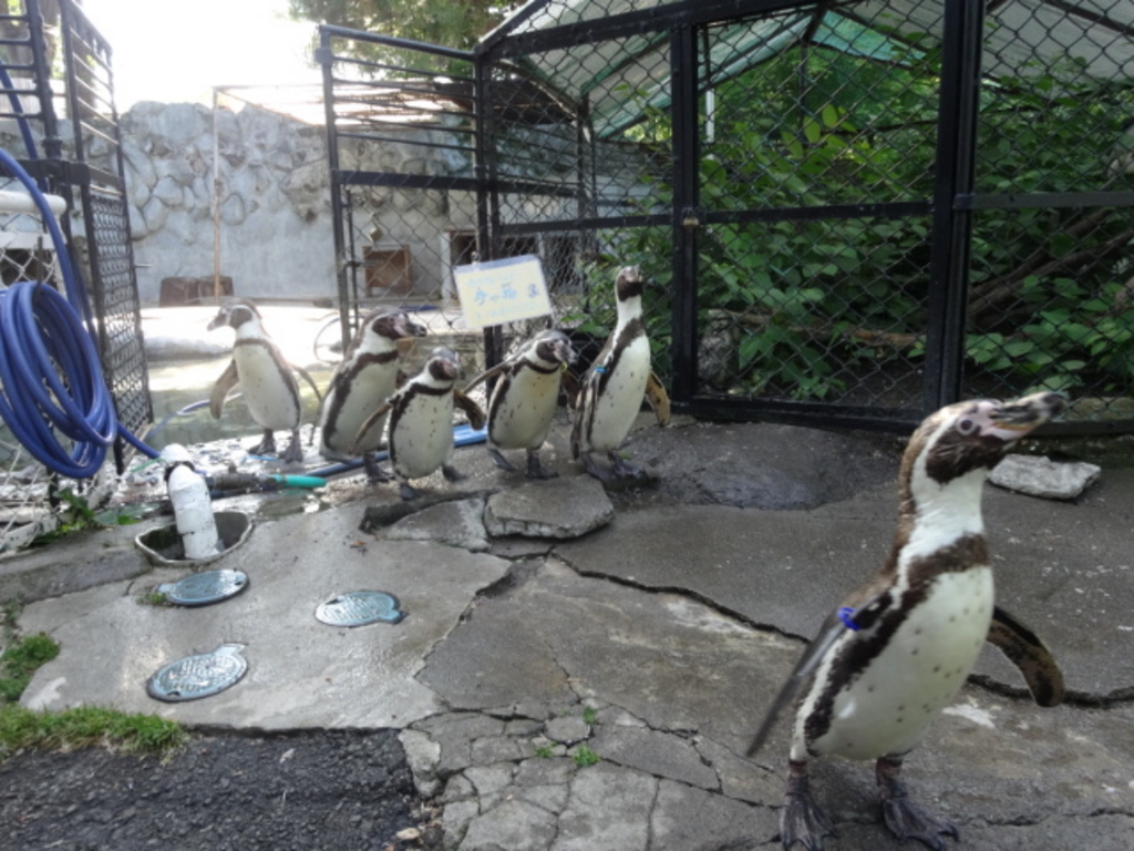 小諸市動物園