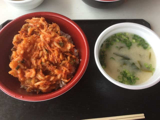 桜海老のかきあげ丼とお味噌汁_由比港漁協 浜のかきあげや