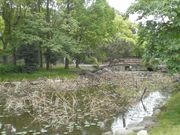 あきさんの旧藤田邸庭園の投稿写真1