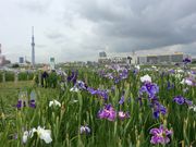 nekoたまさんの堀切水辺公園の投稿写真2