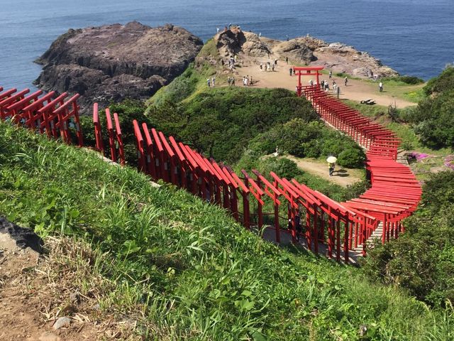 海の青と、鳥居の朱色、緑の絨毯でまさに天国の階段_元乃隅神社