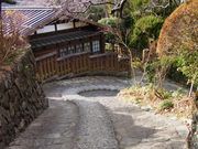 未明花さんの赤沢宿の投稿写真1