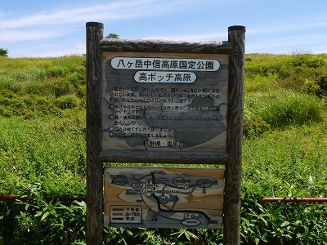 長野県・岡谷市・高ボッチ高原_高ボッチ高原のレンゲツツジ