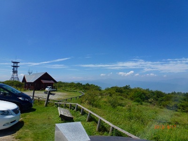 長野県・岡谷市・高ボッチ高原_高ボッチ高原のレンゲツツジ