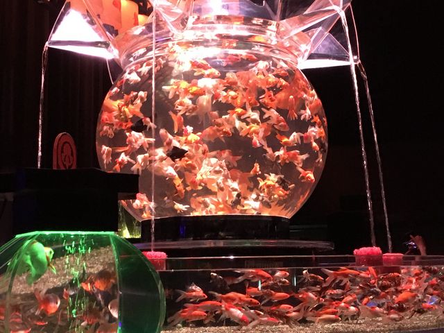 大きな金魚鉢_堂島リバーフォーラム