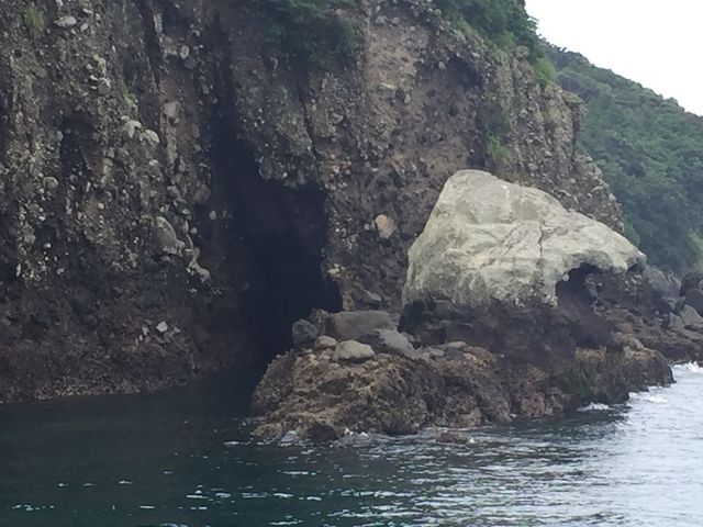 海中公園_長島海中公園