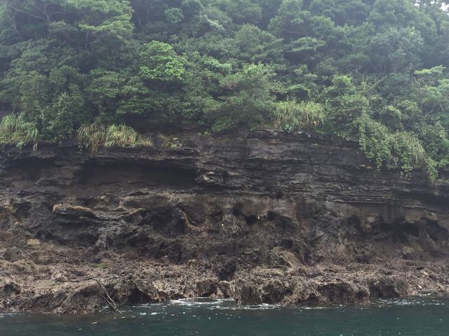 海中公園_長島海中公園