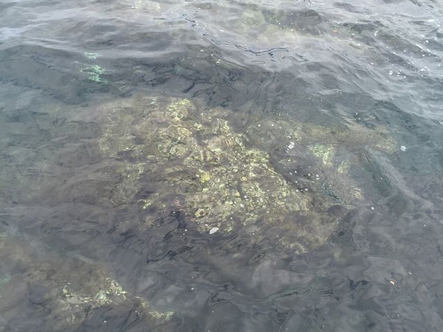 海中公園_長島海中公園
