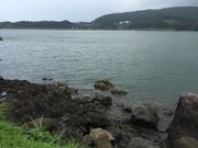 大島さんの黒之瀬戸の渦潮の投稿写真2