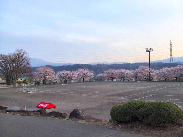 きのこさんの東御中央公園グラウンドの投稿写真1