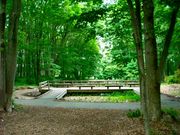 きのこさんの東御中央公園の投稿写真1