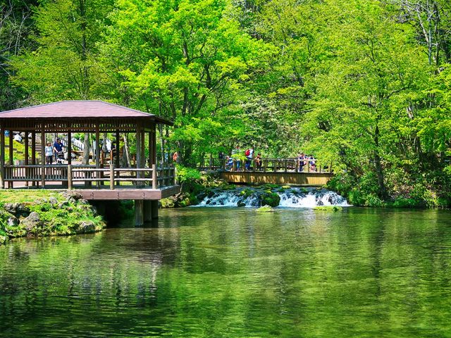 水と緑が綺麗で癒されるスポットです。_ふきだし公園