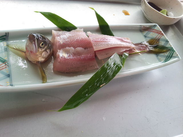 鮎のお刺身もいただきました!!_高瀬観光やな