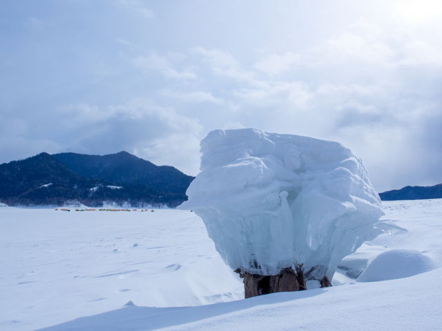 条件が良いとこれが10も20も行列します。_糠平湖(体験観光)