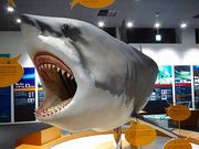 マックさんの気仙沼「海の市」の投稿写真9