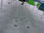 いなさんのあいすランド阿寒の投稿写真2