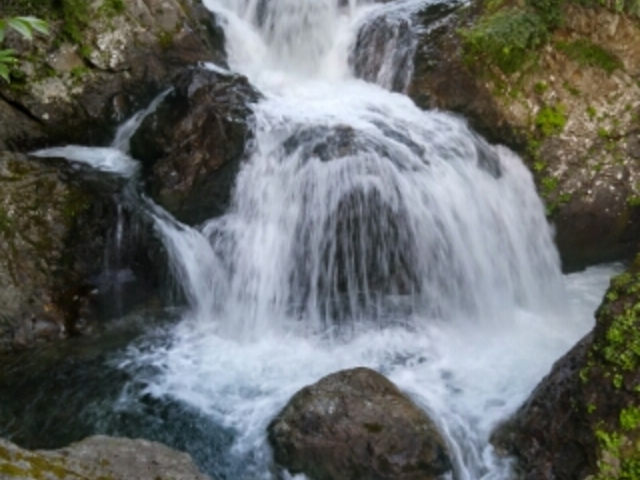なんとか3段写っていると思います。_三階滝