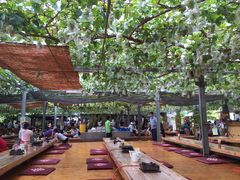 takaさんの小松沢レジャー農園への投稿写真1