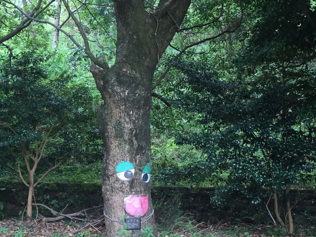 えひめこどもの城 とべもりジップライン