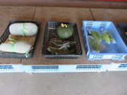 てつきちさんの石寺楽市の投稿写真3