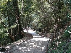 備中松山城の写真1