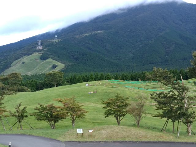 雲が近いです。_富士山こどもの国