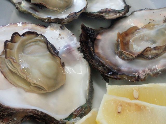 蒸し牡蠣_魚市魚座
