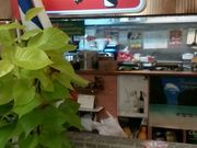 sugachibaさんのティーヌン 銀座店の投稿写真1