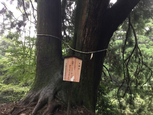 大山