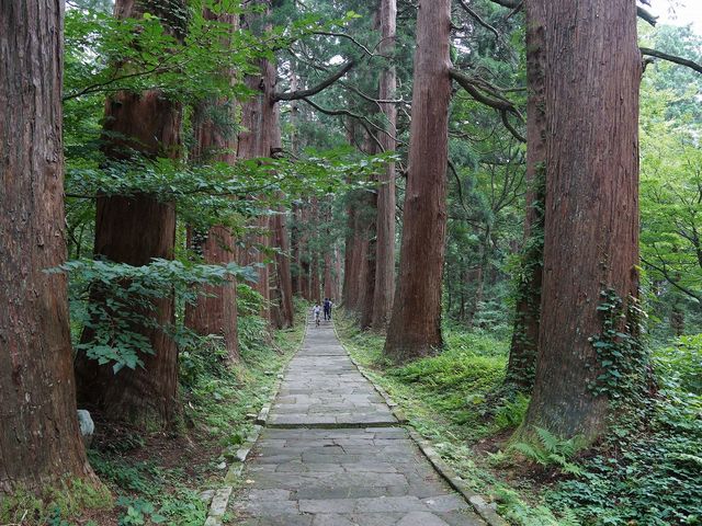 杉並木の参道_羽黒山
