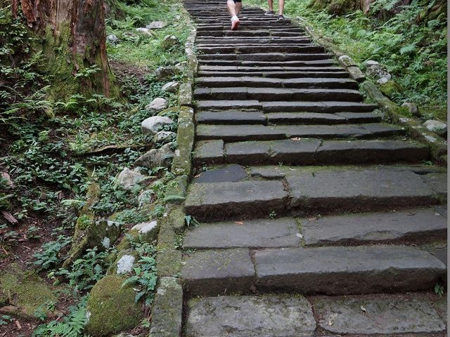 参道_羽黒山