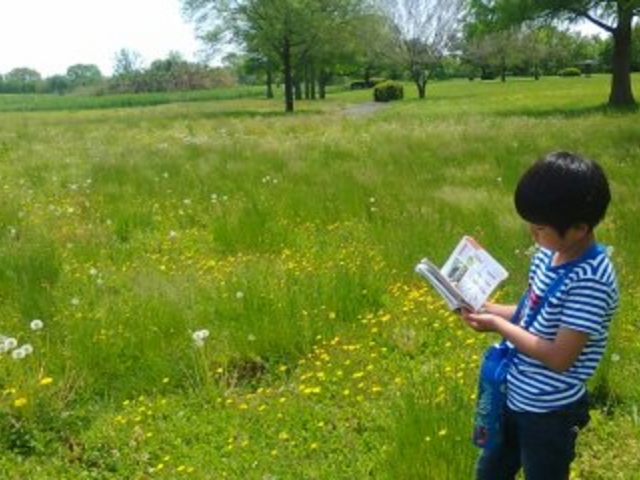 散歩しながら植物図鑑を見て、散策_渡良瀬遊水地