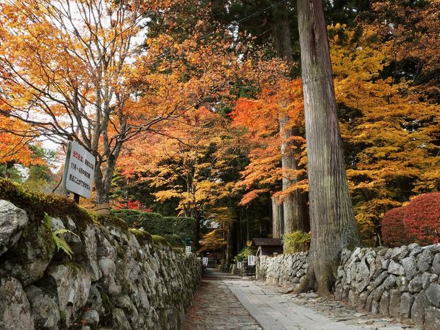光前寺の紅葉_光前寺
