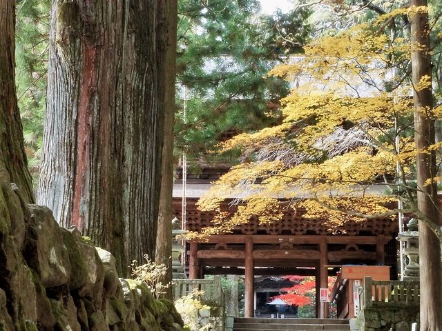 山門_光前寺
