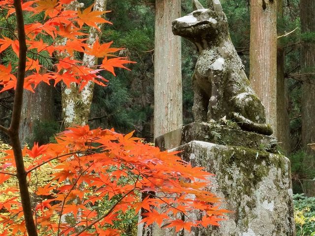 早太郎像_光前寺