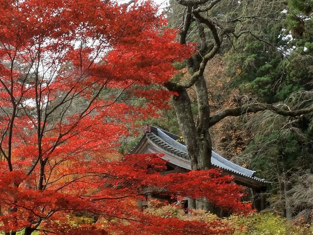 鐘付堂_光前寺