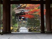 雷ちゃんさんの光前寺の投稿写真5
