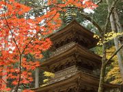 雷ちゃんさんの光前寺の投稿写真6