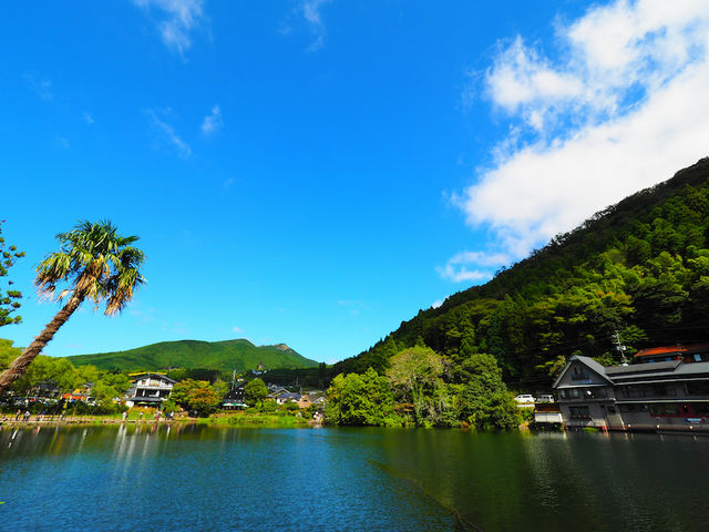 昼の金鱗湖_金鱗湖
