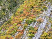 御嶽さんの雨飾山の投稿写真1