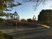 和田さんの上尾丸山公園の投稿写真2