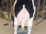 ゆーみーさんの重信ポエムの投稿写真2