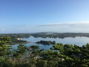 あおいももさんの嵐山展望台の投稿写真1