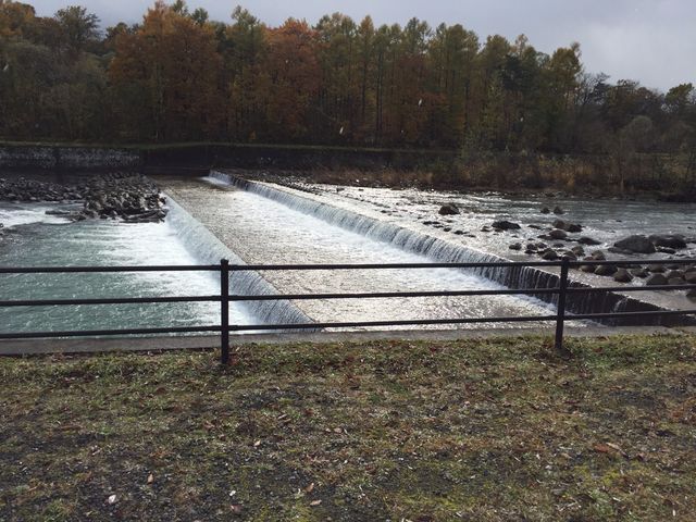 陸さんの妻の神広場キャンプ場の投稿写真1
