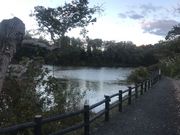 陸さんの朝日山公園の投稿写真2