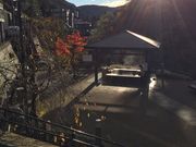 陸さんのうぐいす湯の里公園の投稿写真3