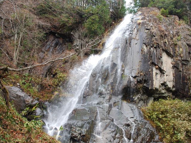 大倉滝_森林公園おおくら滝