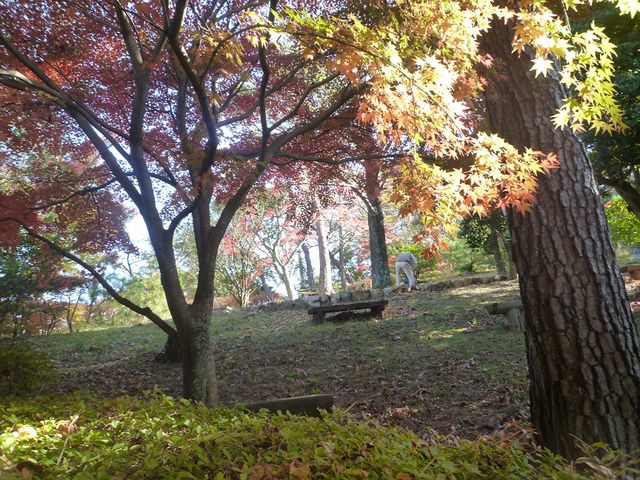 紅葉がきれいな大草山遊歩道_舘山寺ロープウエイ大草山展望台