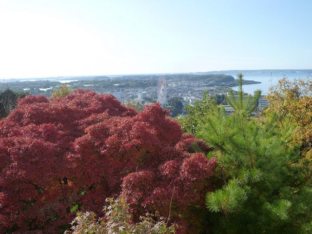 大草山山頂かんざんじ荘テラスからの紅葉の眺望_舘山寺ロープウエイ大草山展望台